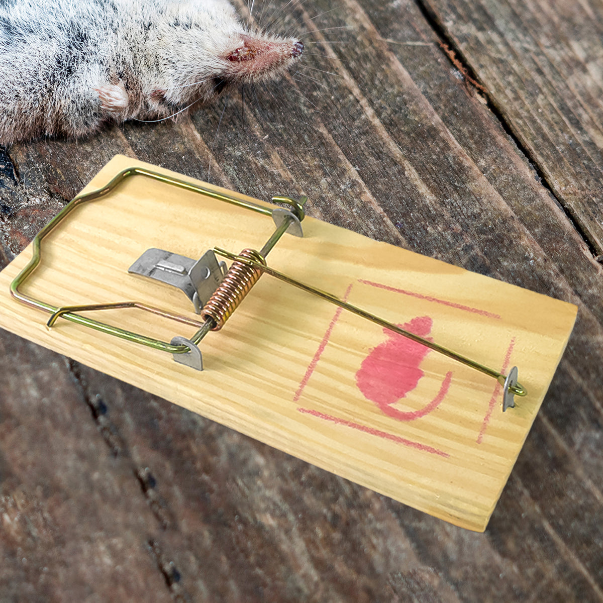 Wooden Mouse Rat Traps (1 Pc)